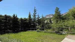 Eine Wiese mit Holzzaun und einem Berg im Hintergrund.