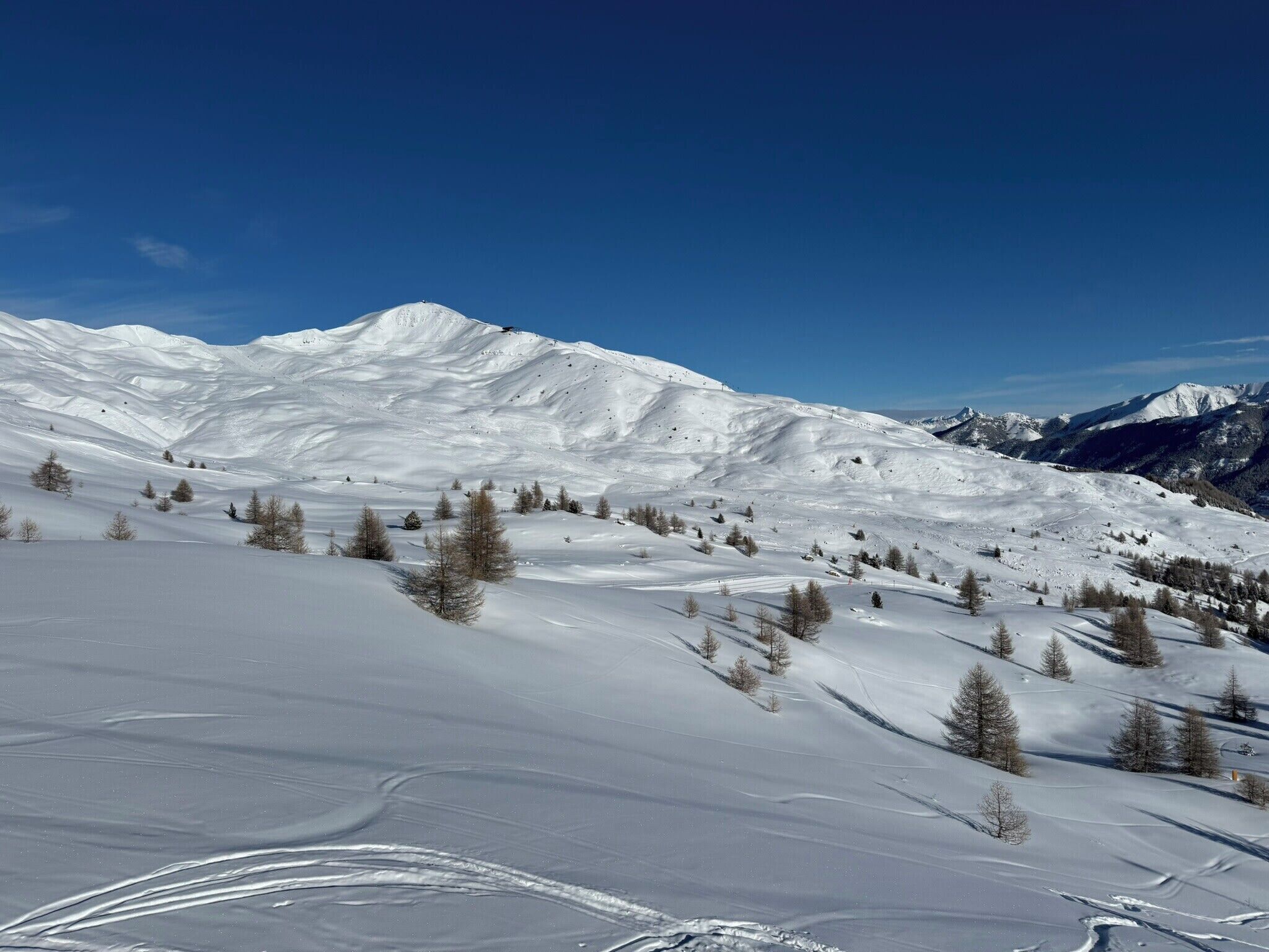 Paisatge de muntanya cobert de neu amb arbres i pistes d'esquí.