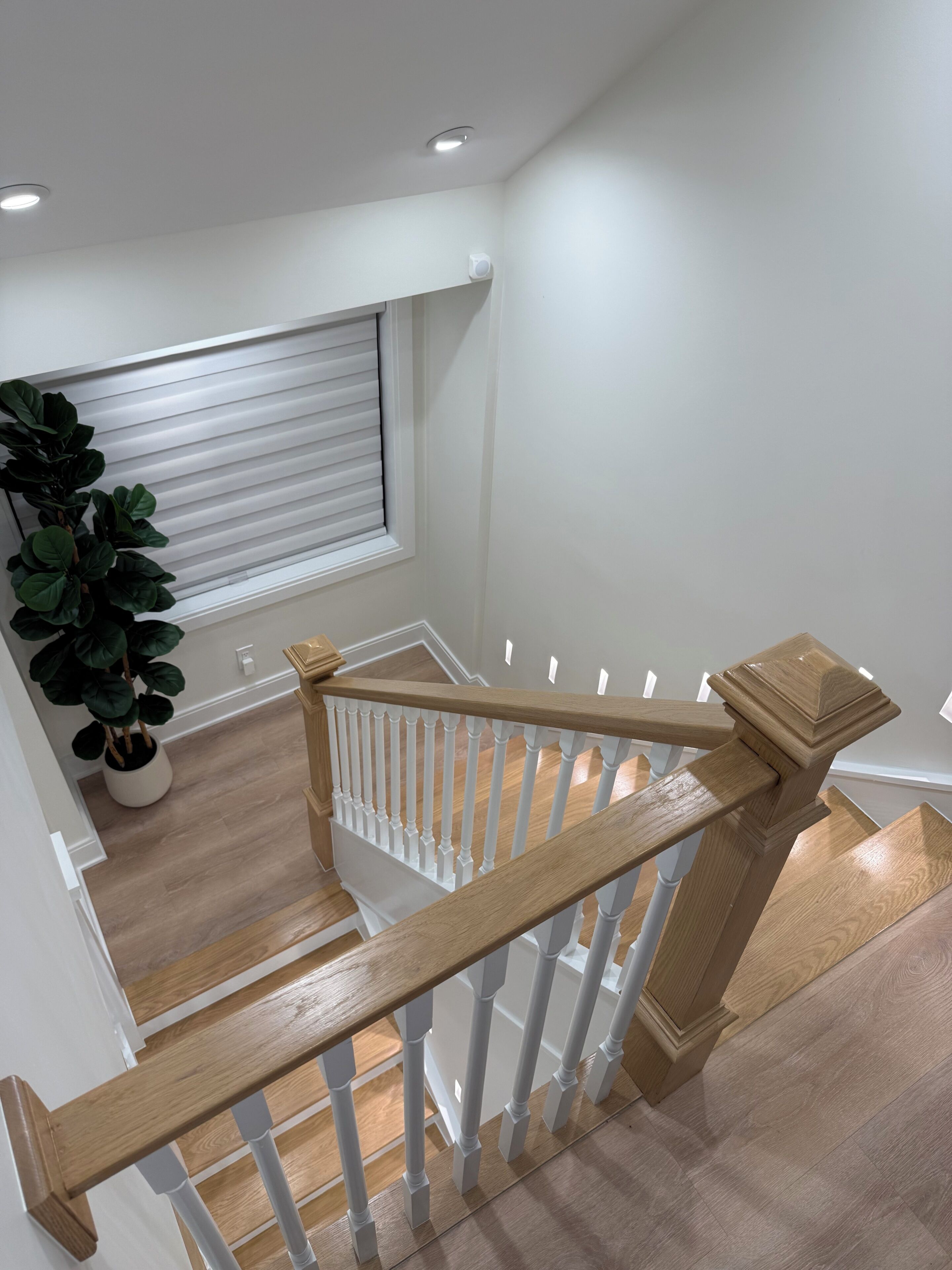 A wooden staircase with white balusters, a potted plant, and a window with blinds.