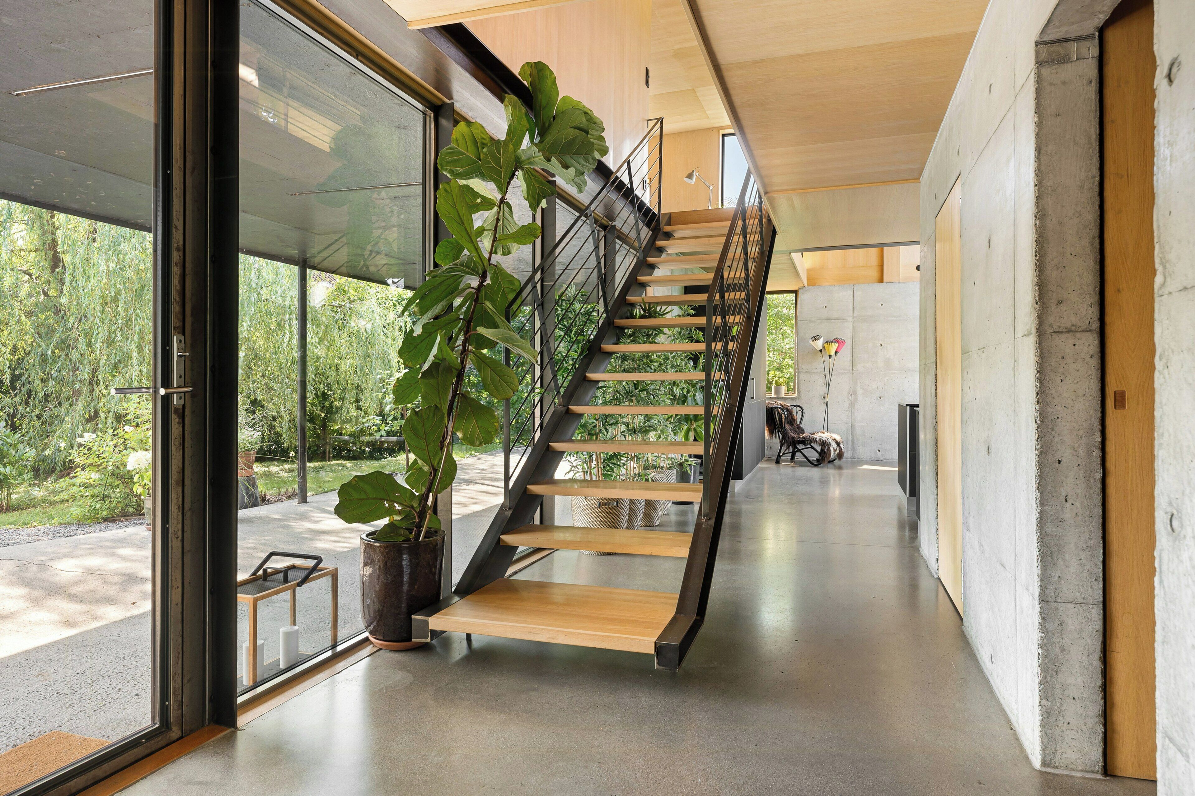 Un intérieur moderne avec un escalier en béton, de grandes fenêtres et des plantes d’intérieur.