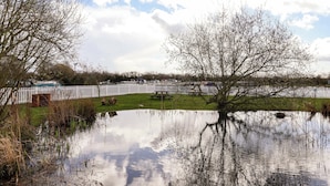 A calm water body with reflections, a white fence, and trees. - Sid's Nest (Whitchurch)