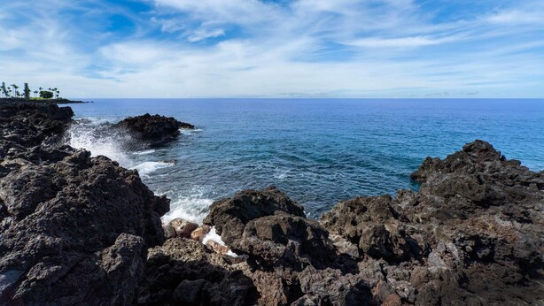Apartment, Mehrere Betten (Kksr#1301 Direct Oceanfront, Top Floo) | Verschiedenes