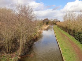 A narrow waterway flanked by leafless trees and a grassy path.