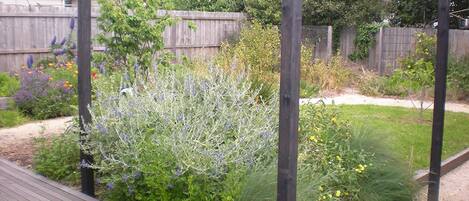 A garden with various plants and a wooden deck.