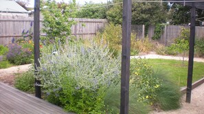 A garden with various plants and a wooden deck. - Beachside Haven - Point Lonsdale (POINT LONSDALE)