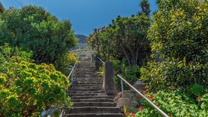 Un conjunto de escalones de piedra que suben, rodeados de abundante vegetación y un cielo azul despejado.
