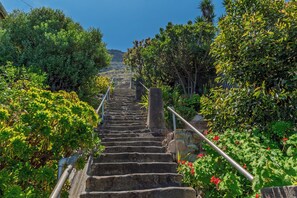A set of stone stairs leading upwards, surrounded by lush greenery and a clear blue sky. - Modern Sea Facing cottage in charming St James,  Cape Town (Cape Town)