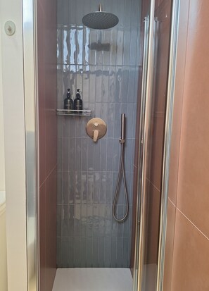 Regadera, secadora de cabello, bidet, toallas