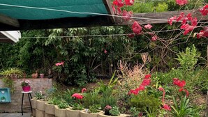 Un jardín con pared de piedra, plantas en macetas y un banco.