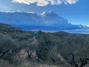 A hilly landscape with a path leading to a structure with a dome-like roof. - Glamping Dome in Terra Alta (La Fatarella)