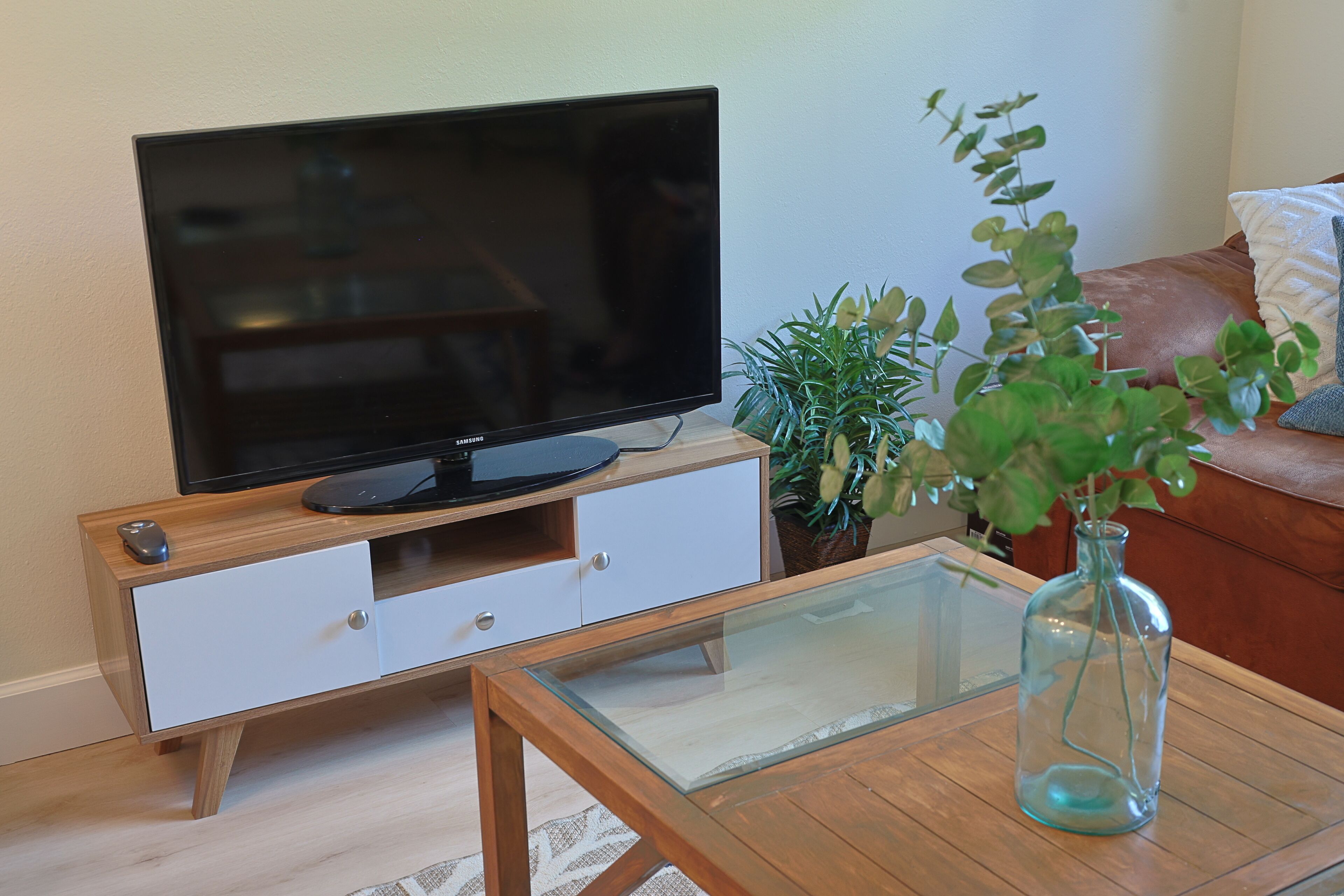 A living room with a flat-screen TV on a wooden cabinet, a glass coffee table, a potted plant, and a brown leather sofa.