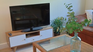 Ein Wohnzimmer mit Flachbildfernseher auf einer Holzeinrichtung, einem Glastisch, einer Topfpflanze und einem braunen Ledersofa.