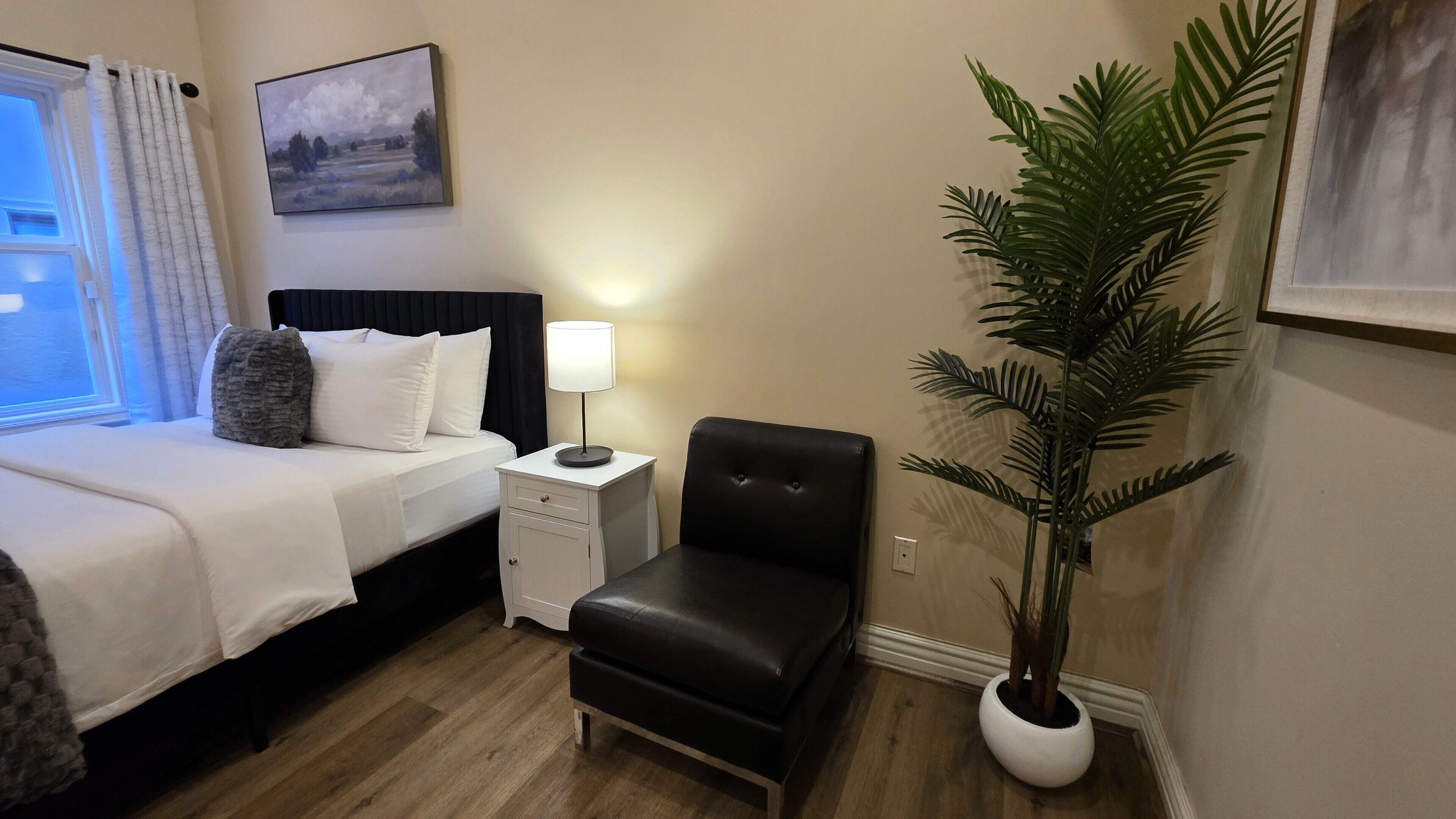 Habitación de hotel con cama, mesita de noche, lámpara, silla y una planta en maceta.