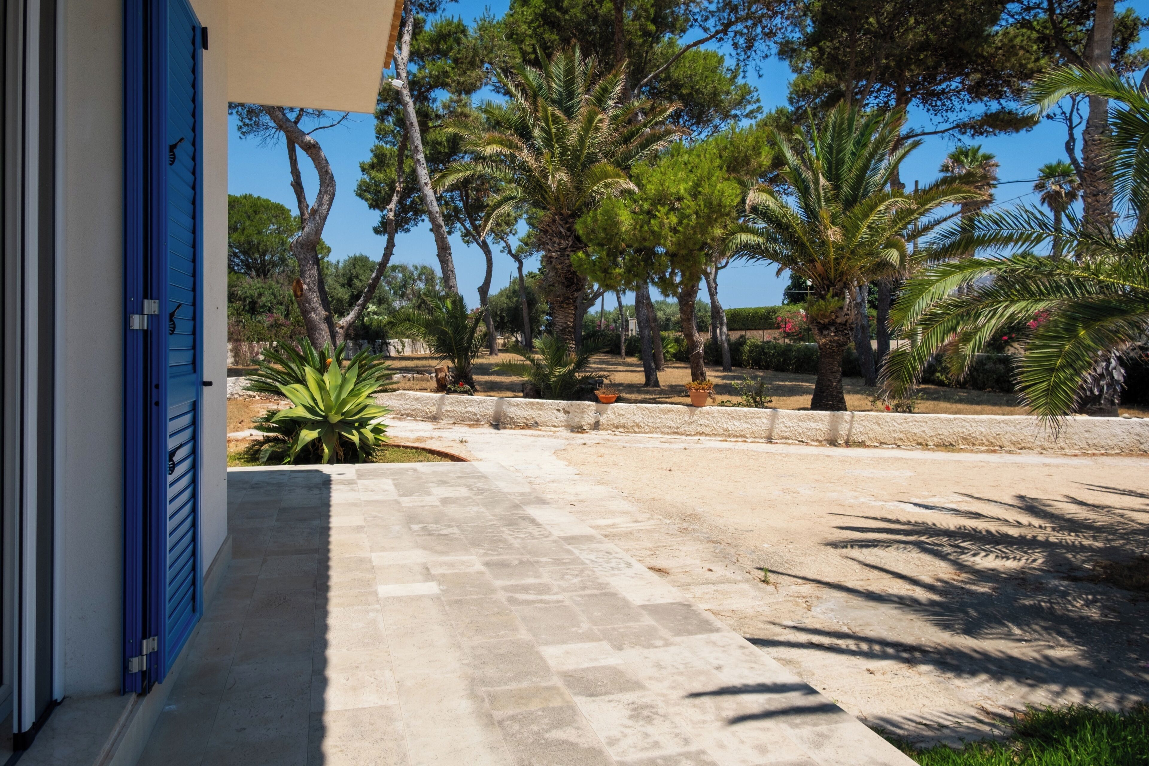 A paved pathway leading to a building with blue shutters, surrounded by a variety of trees and plants.