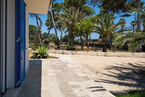 A paved pathway leading to a building with blue shutters, surrounded by a variety of trees and plants. - Villa Sun and Moon by Ortigiaapartments (Plemmirio)