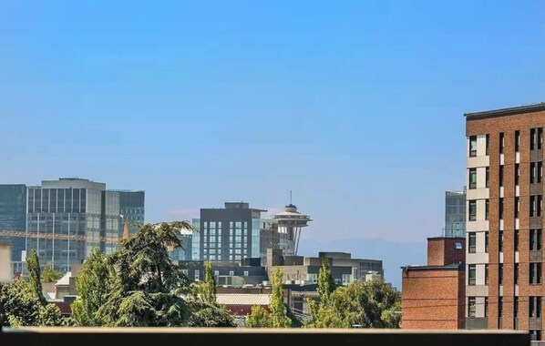 Vista desde la propiedad
