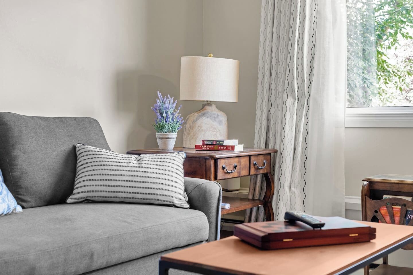 Ein Wohnzimmer mit grauem Sofa, einem gestreiften Kissen, einem kleinen Tisch mit Lampe, einer Topfpflanze und Büchern.
