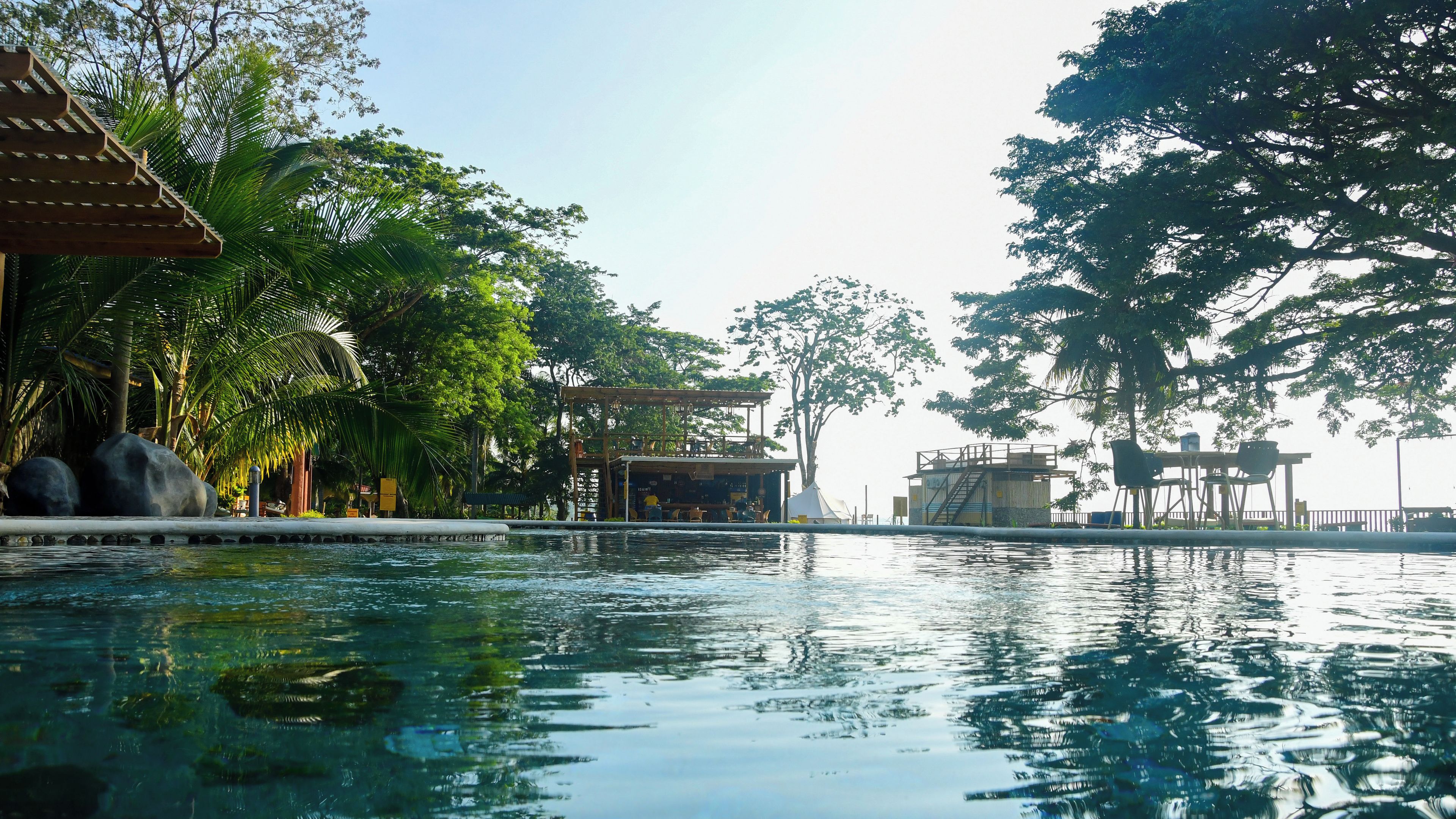 A swimming pool with a wooden deck, surrounded by lush greenery and a gazebo.