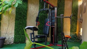 Une salle de sport à domicile équipée de matériel d’exercice, recouverte de gazon synthétique et agrémentée d’une plante en pot.