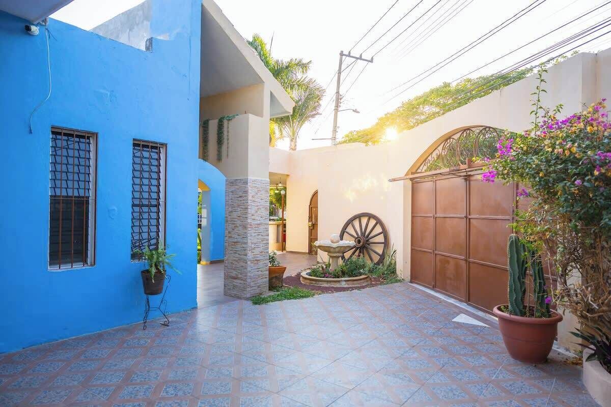A courtyard with a blue wall, a wooden gate, and potted plants.