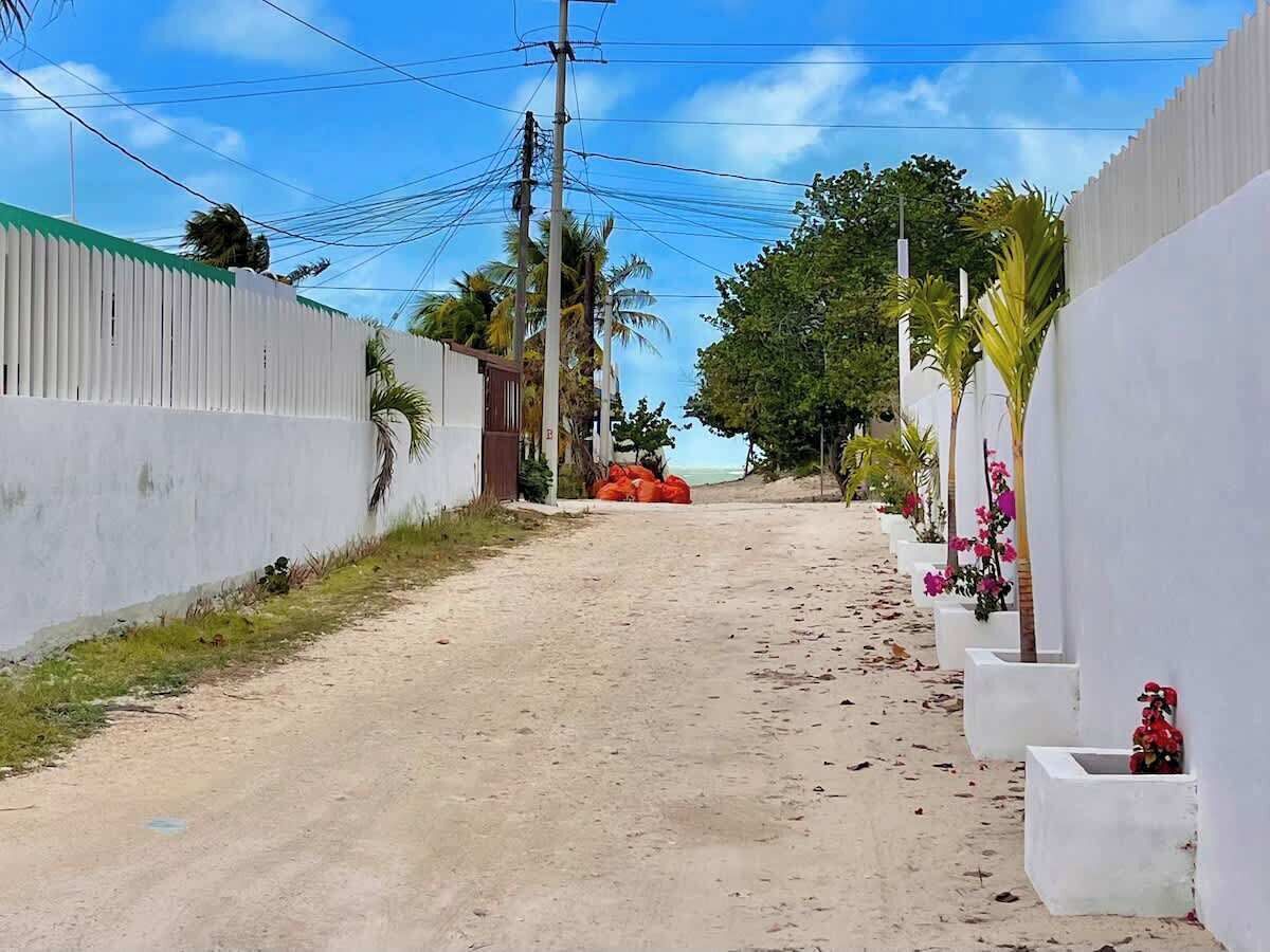 Un camí de sorra estret, amb parets blanques i palmeres als costats, que condueix a una platja.