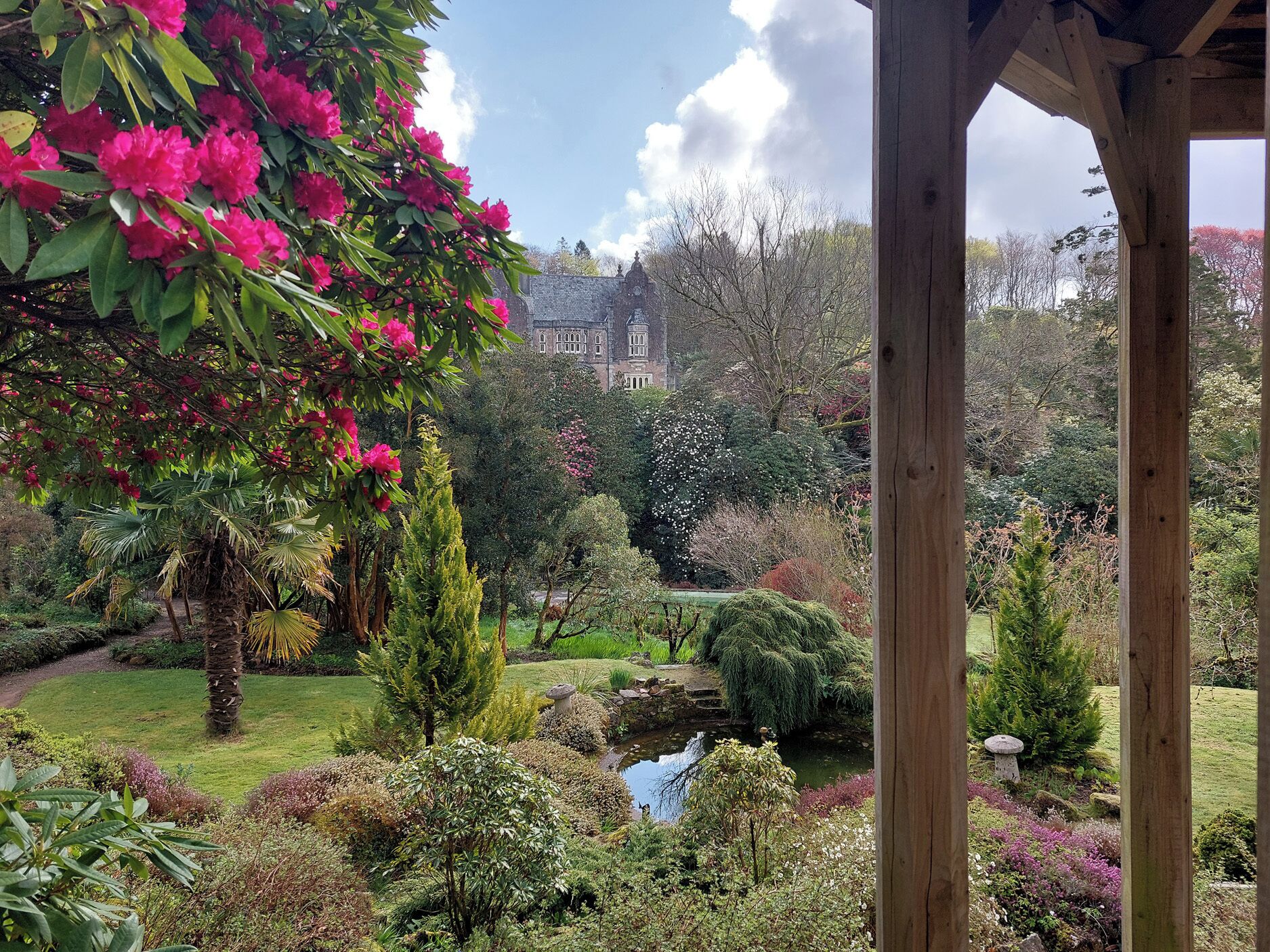Un jardín con un estanque, diversas plantas y un edificio al fondo.