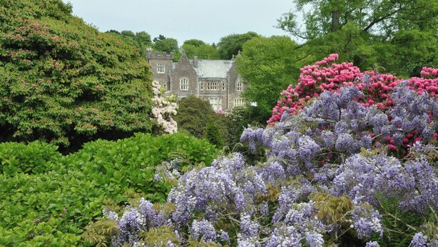 A historic building surrounded by lush greenery and flowering plants. - Lukesland Wing (Ivybridge)