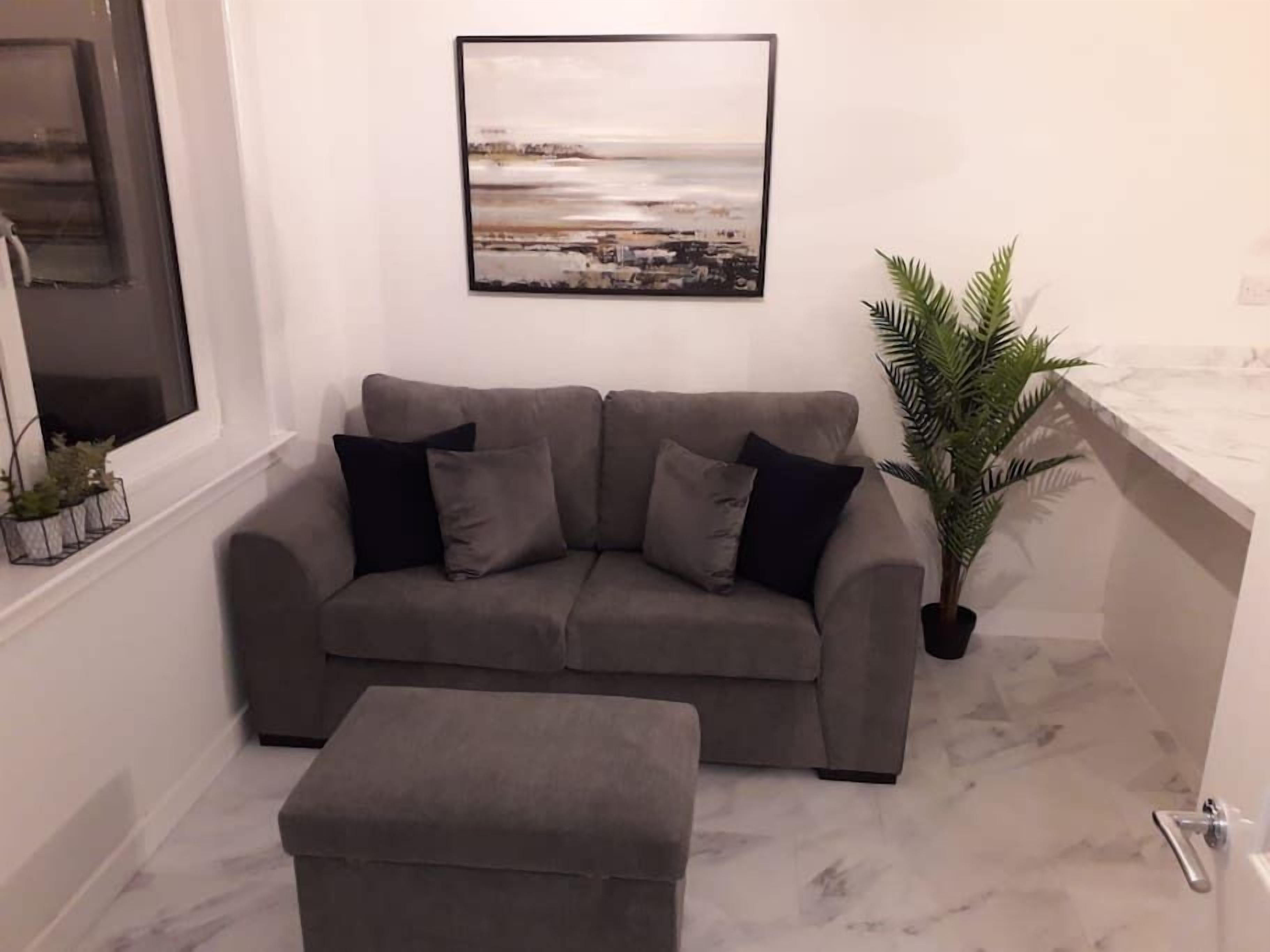 Een woonkamer met een grijze bank, een passende voetenbankje, een potplant en een stadsgezichtschilderij aan de muur.