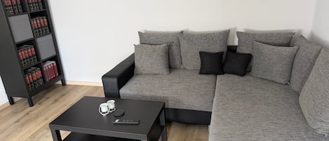 A modern living room with a grey sofa, black coffee table, and a black bookshelf with books.
