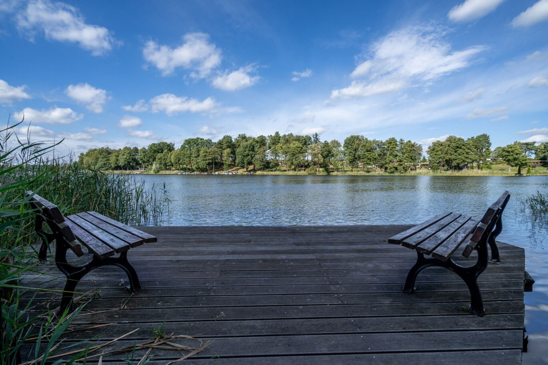 Un muelle de madera con dos bancos mirando a un lago tranquilo, rodeado de árboles y cielos despejados.