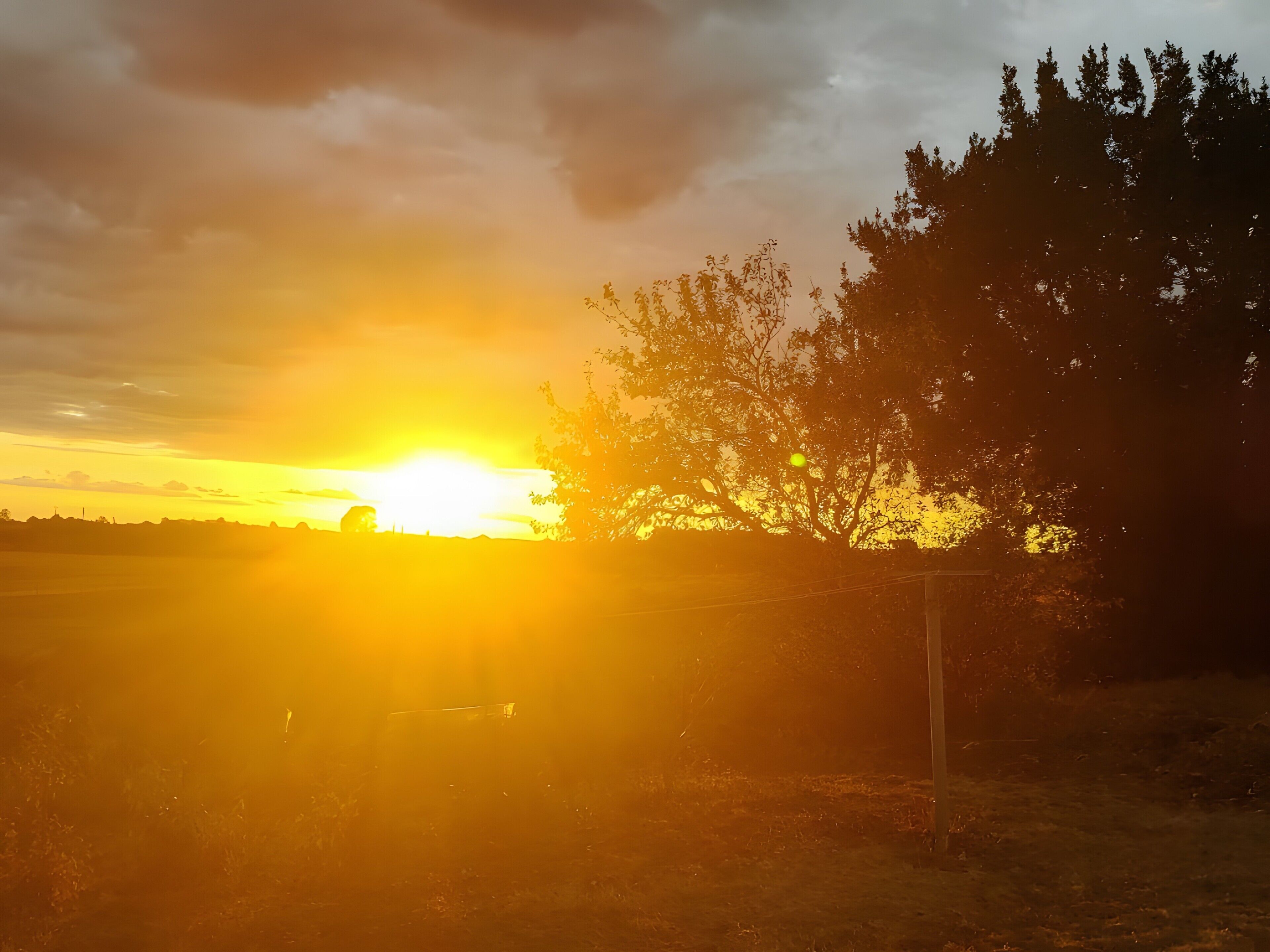 Un coucher de soleil sur un champ, avec la silhouette d’un arbre et une clôture.