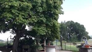 Terrace/patio - Guest Room “La Ferme Du Marronnier” with Private Terrace, Shared Garden, and Wi-Fi (Valence-d'Albigeois)