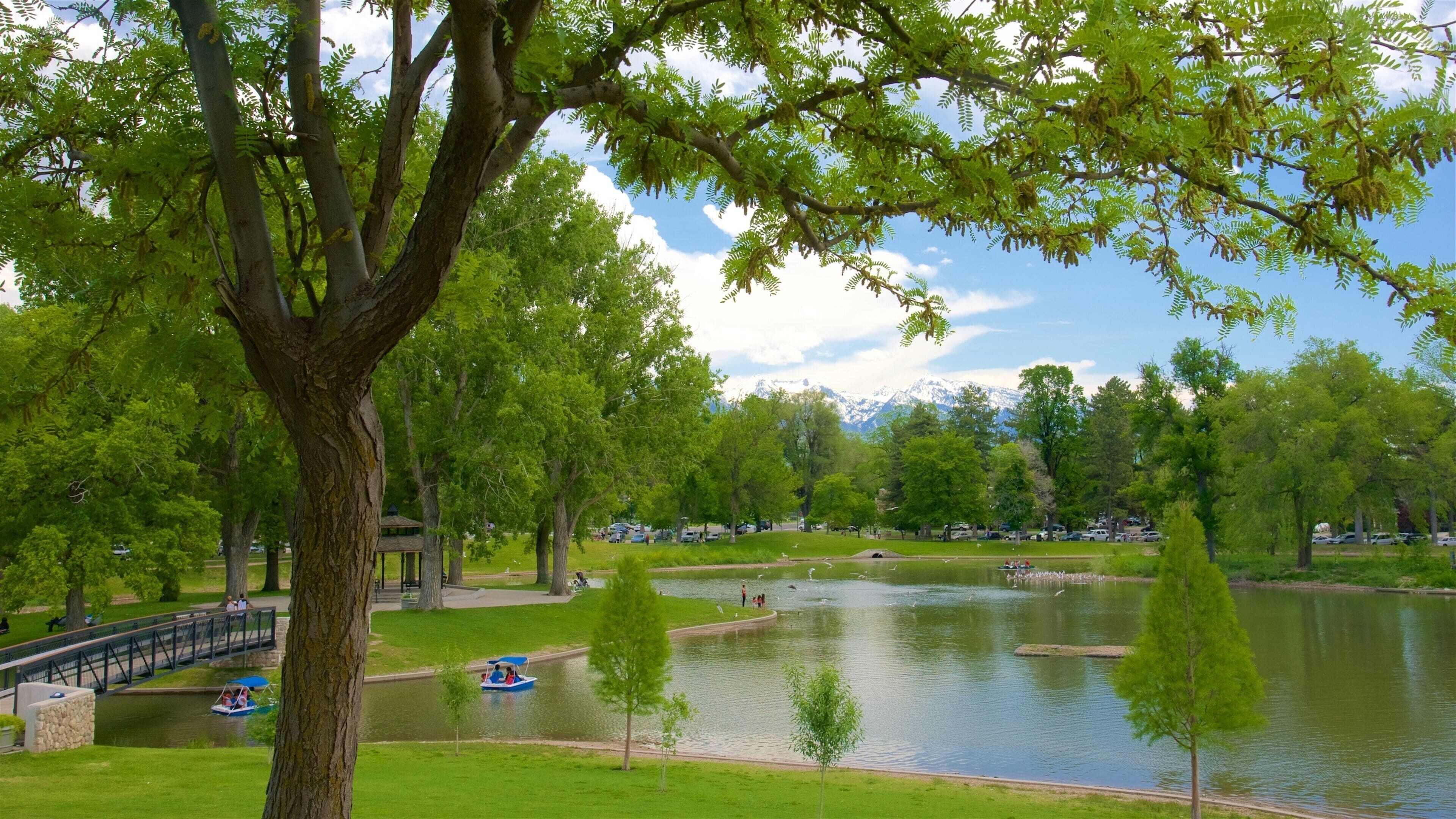 Ein Park mit einem See, einer Brücke und einem Kiosk.