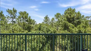 A balcony with a metal railing overlooking a forested area with pine trees.