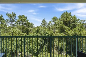 A balcony with a metal railing overlooking a forested area with pine trees. - Villagio C241 (Pensacola)