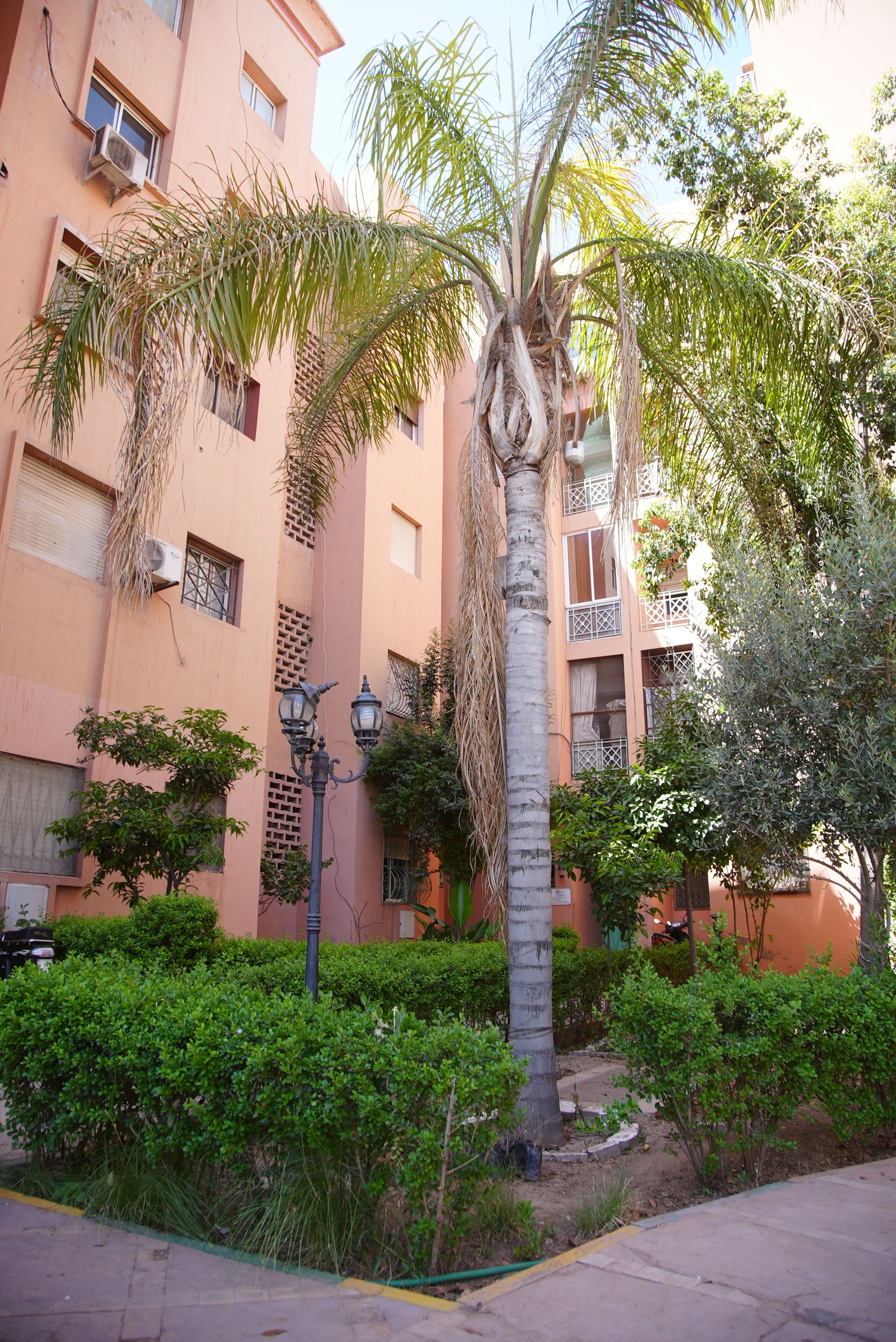 A residential building with multiple balconies, a palm tree, and well-maintained greenery.