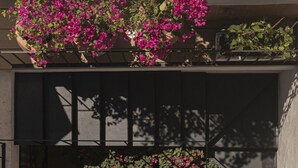 A rooftop terrace with a potted plant and a hanging flower arrangement. - NEW Beautiful loft - KS bed - A/C Roma Norte (Ciudad de México)