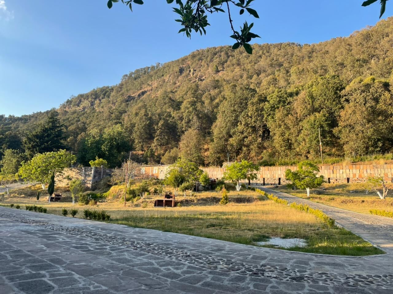 Un camino pavimentado que lleva a un edificio con vista a una ladera boscosa.