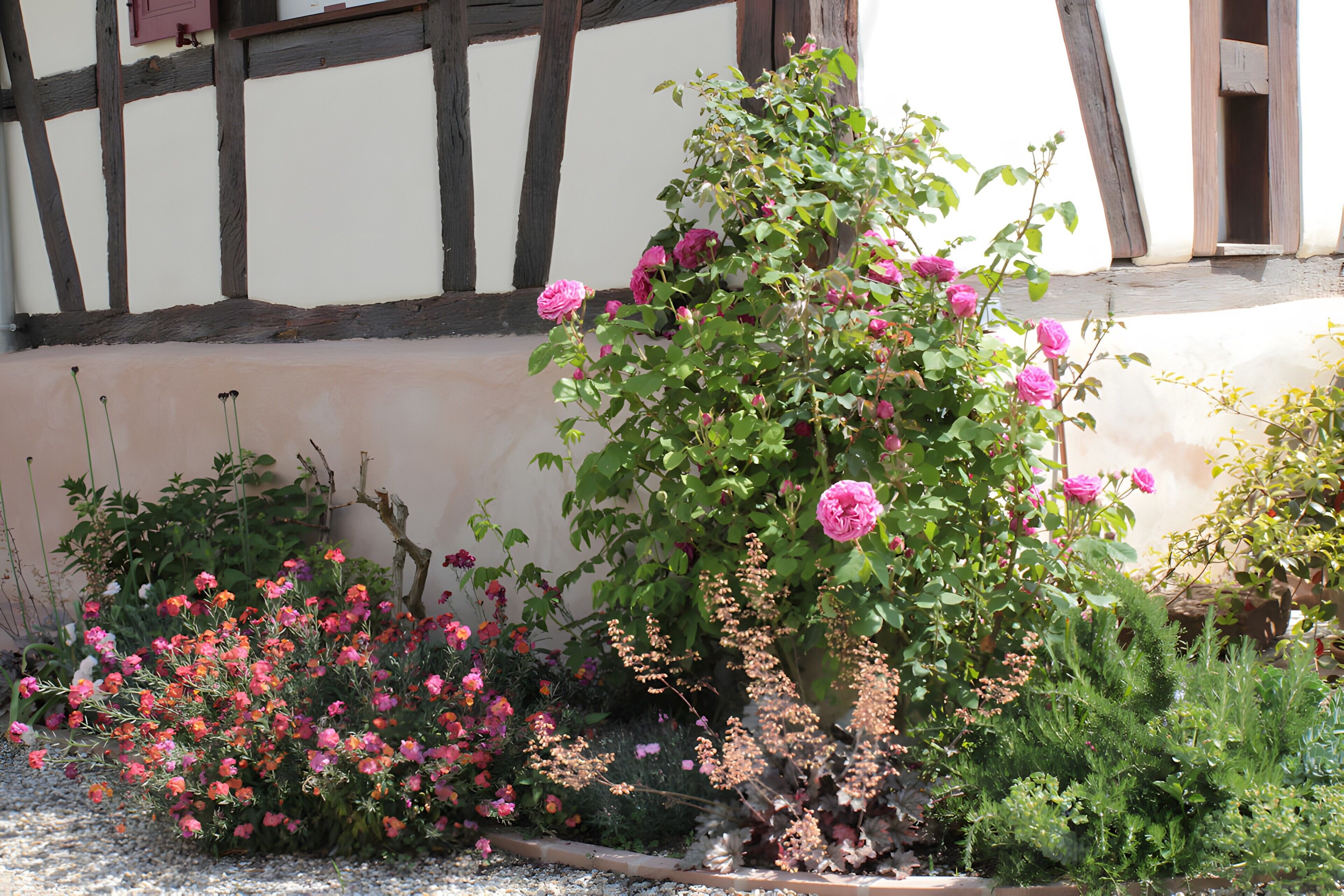 Ein Garten mit verschiedenen blühenden Pflanzen und einem traditionellen Fachwerkhäuschen im Hintergrund.