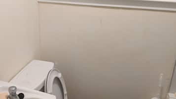 Shower, towels, toilet paper