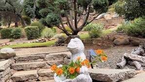 A stone sculpture with a telescope and flowers in a garden setting. - Beautiful Lake House Minutes from Lake Oroville (Oroville)