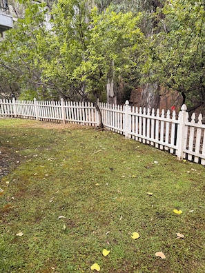 A fenced yard with grass and trees.