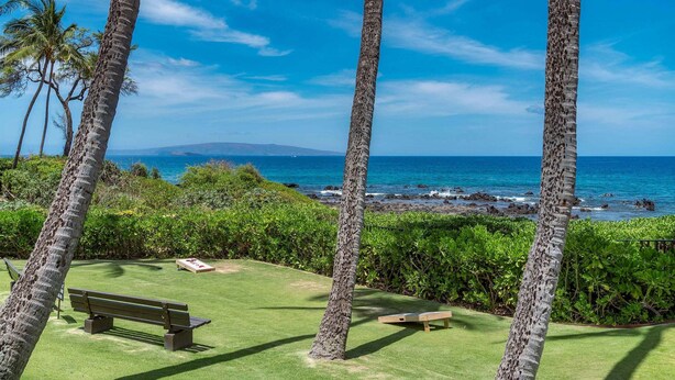A grassy area with benches, palm trees, and a view of the ocean. - Wailea Ekahi 42C - Peekaboo Ocean Views, 2 Full Baths, King Tempurpedic, Full AC (Kihei)