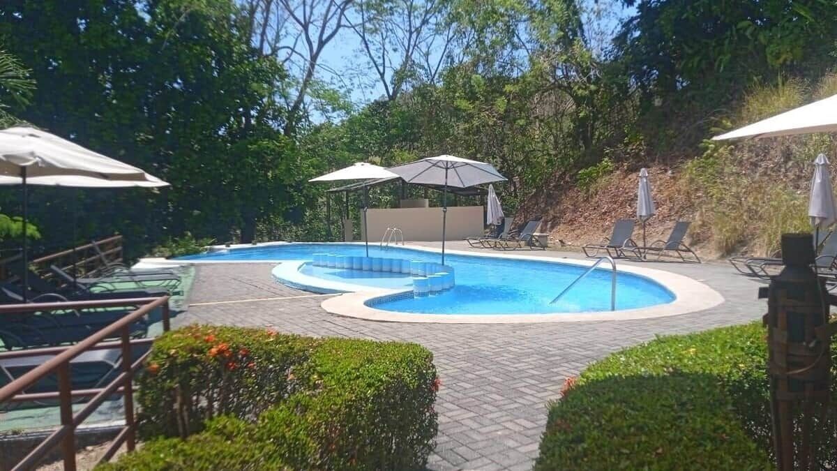 Piscina com borda curva, rodeada por espreguiçadeiras e guarda-sóis, situada numa área ajardinada com árvores e arbustos.