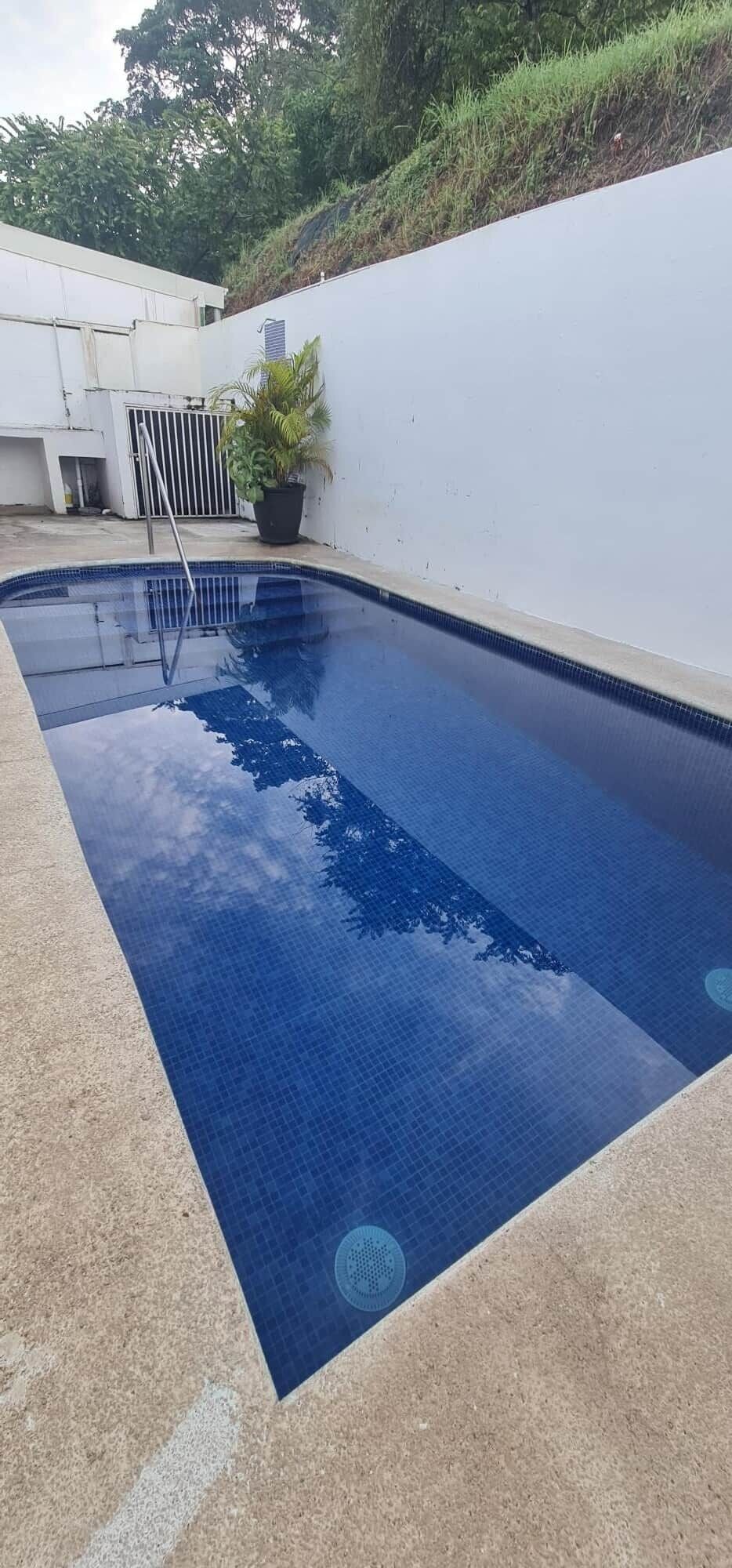 Ein rechteckiger Pool mit gefliestem Rand, einer Leiter und einer Pflanze nebenan.