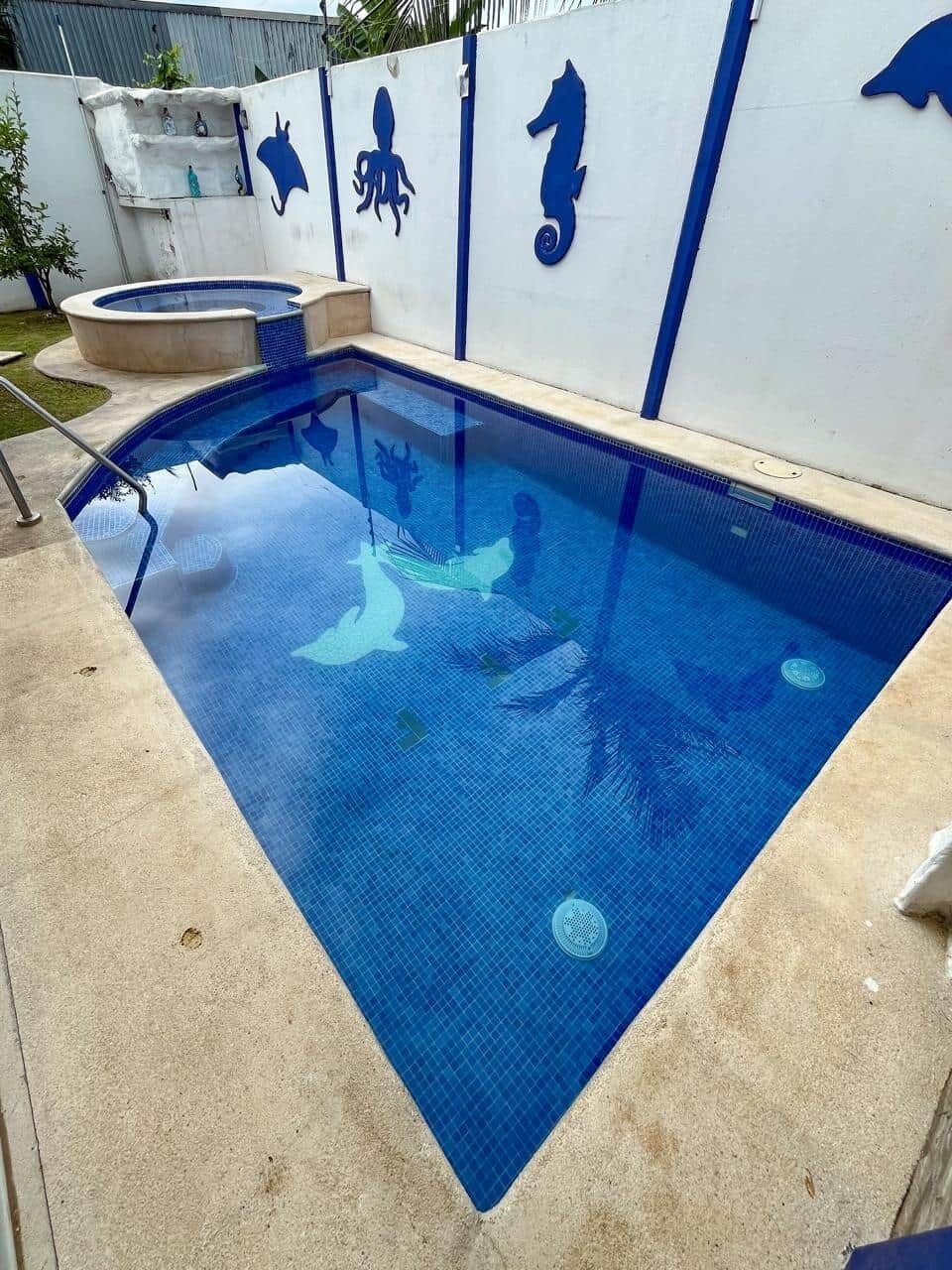 A swimming pool with a blue tiled floor and a white wall with blue decorative elements.
