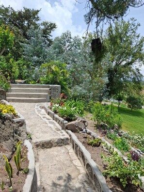 Eine Steintreppe führt zu einem Garten mit verschiedenen Pflanzen und Bäumen.