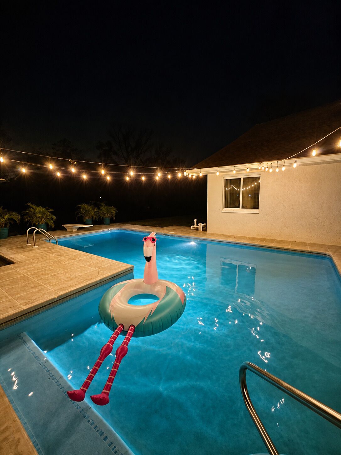 Une piscine avec un flotteur en forme de flamant rose, des guirlandes lumineuses et des plantes en pot.