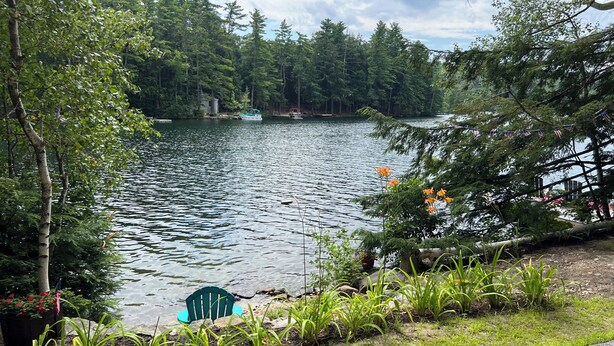 A lakeside view with a dock, greenery, and a chair by the water.