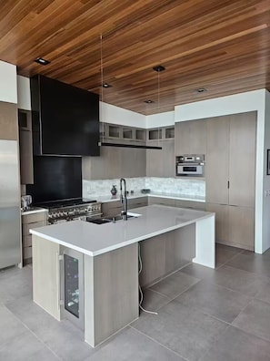 Private kitchen - Waterfront Masterpiece with Sound & Mountain Views (Camano)